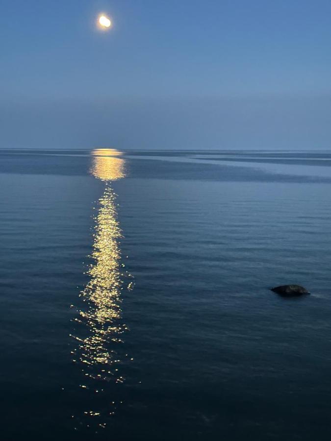 Bed and Breakfast The Wind In The Willows - Luxury Lakefront Oasis Cobourg Zewnętrze zdjęcie